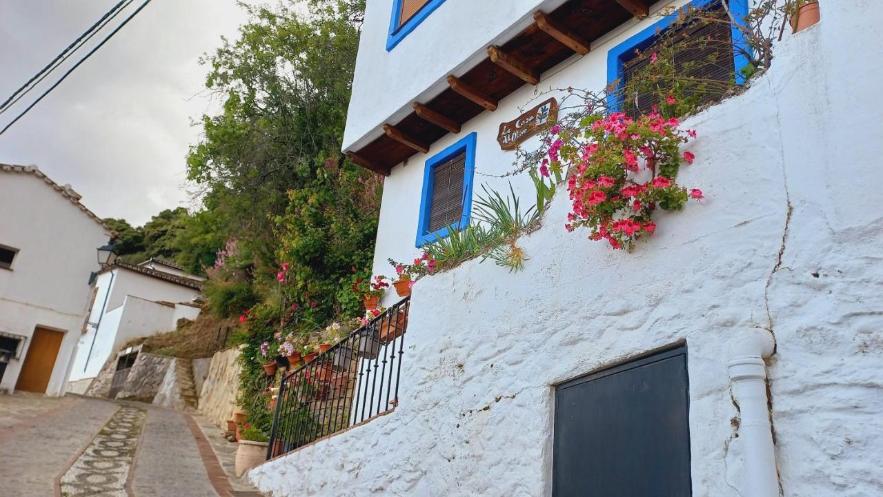 Casa El Olivo By Casaturistica Βίλα Benalauría Εξωτερικό φωτογραφία