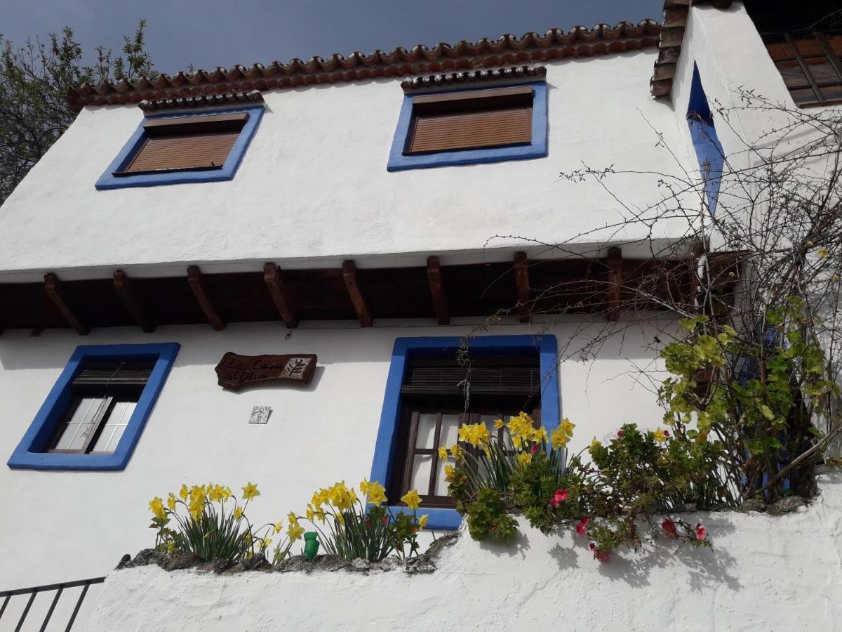 Casa El Olivo By Casaturistica Βίλα Benalauría Εξωτερικό φωτογραφία